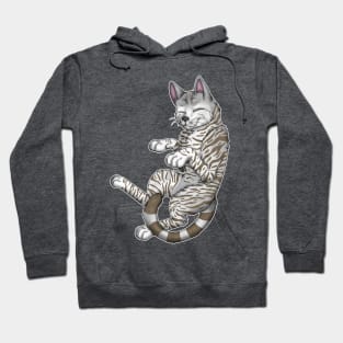 Silver-Amber Tabby Shorthair Hoodie